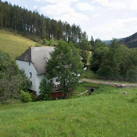 Zur Alten Oele - Hochwertig Und Familienfreundlich Lenzkirch Luaran gambar