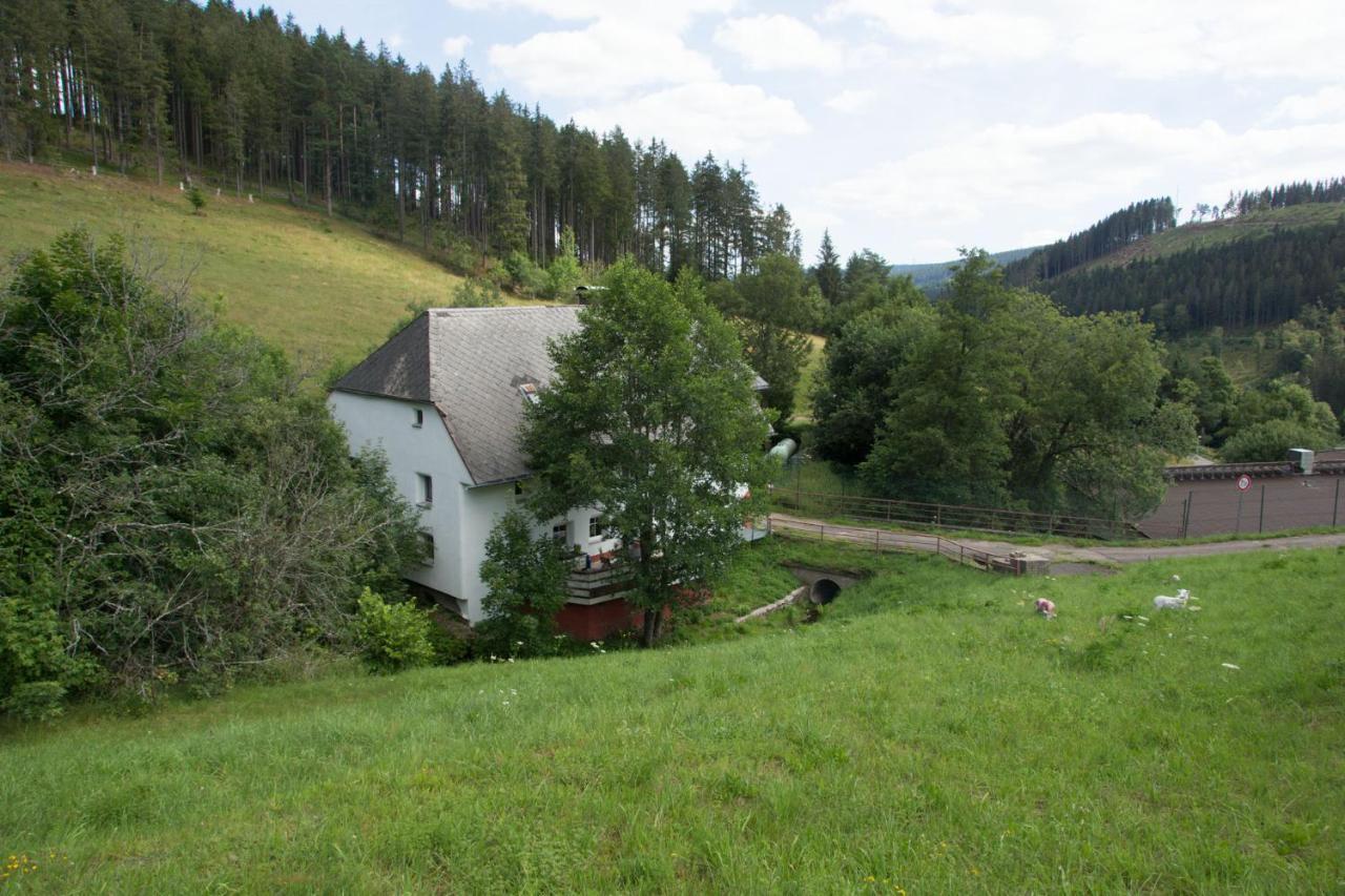 Zur Alten Oele - Hochwertig Und Familienfreundlich Lenzkirch Luaran gambar