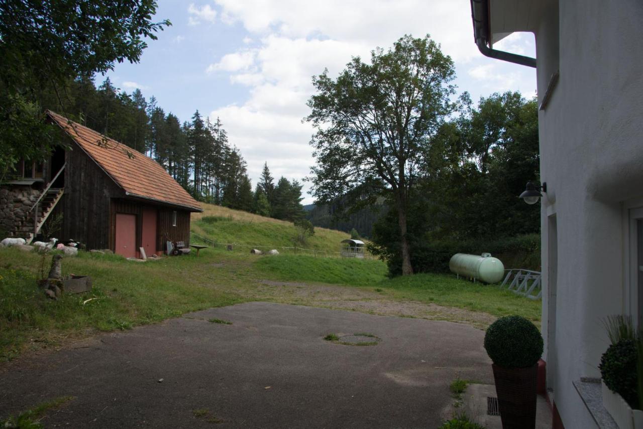 Zur Alten Oele - Hochwertig Und Familienfreundlich Lenzkirch Luaran gambar